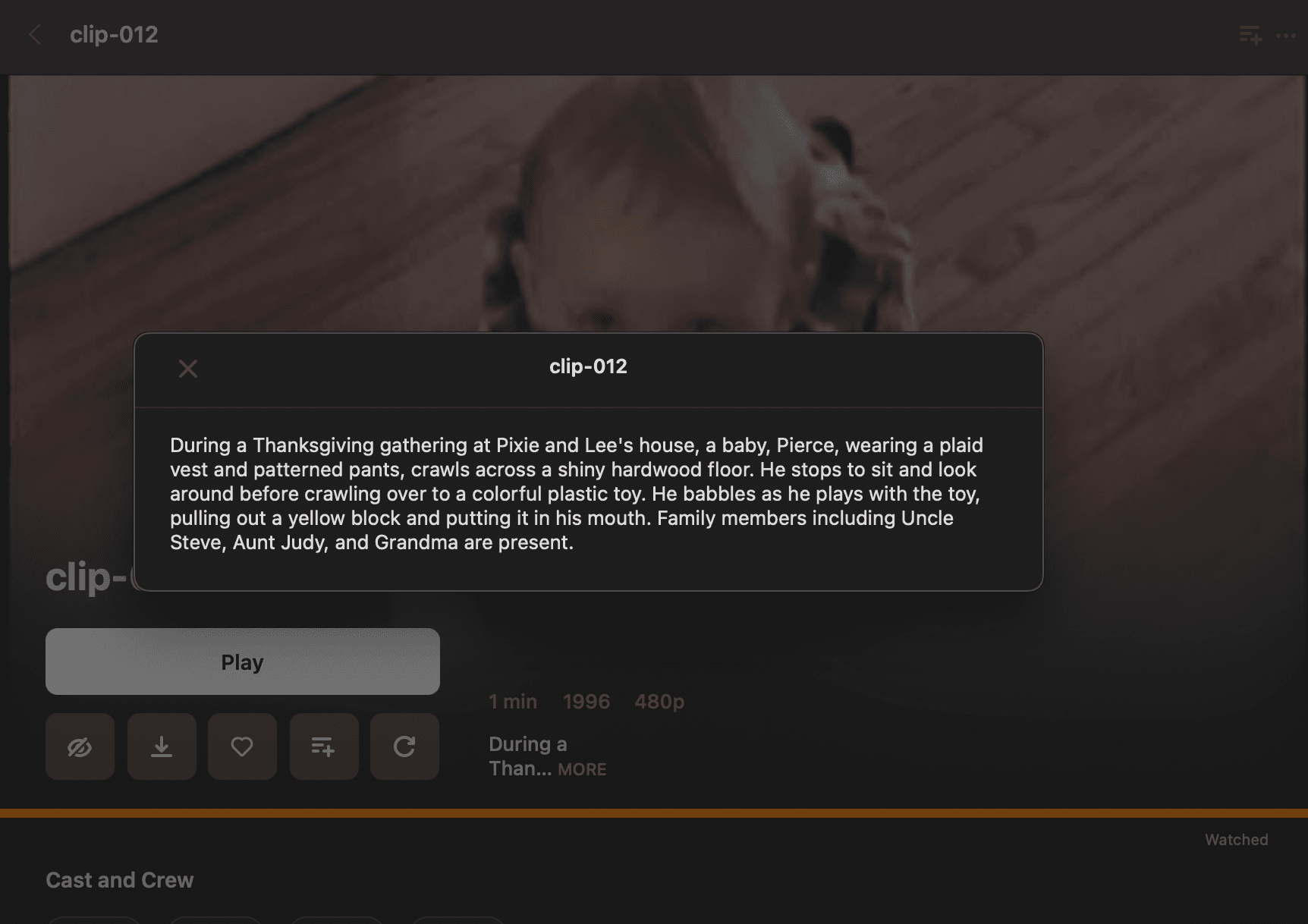 Detailed clip descriptions with rich metadata